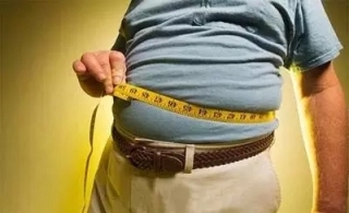 肥胖更易患胆结石